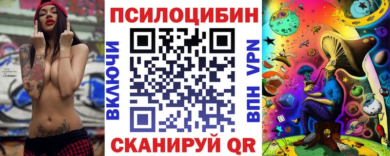 Псилоцибиновые грибы мухоморы  купить наркотики цена  Кашира 