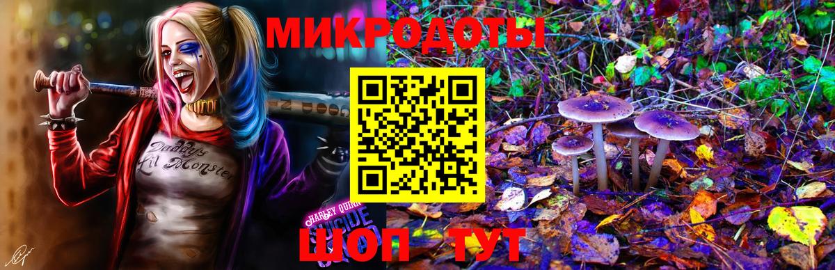 Галлюциногенные грибы Magic Shrooms  Вход с VPN  Псилоцибиновые грибы мицелий  Кашира 