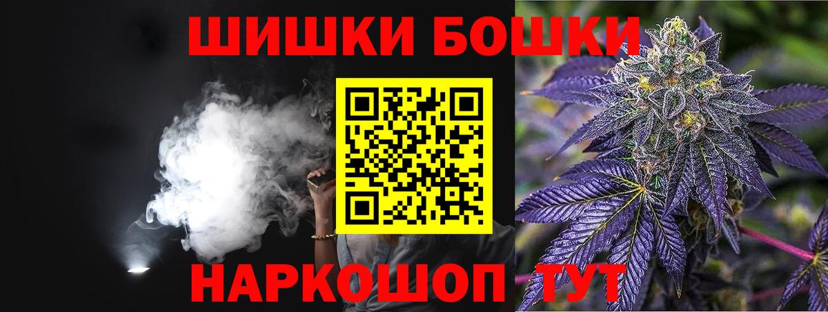 Канабис сатива Кашира